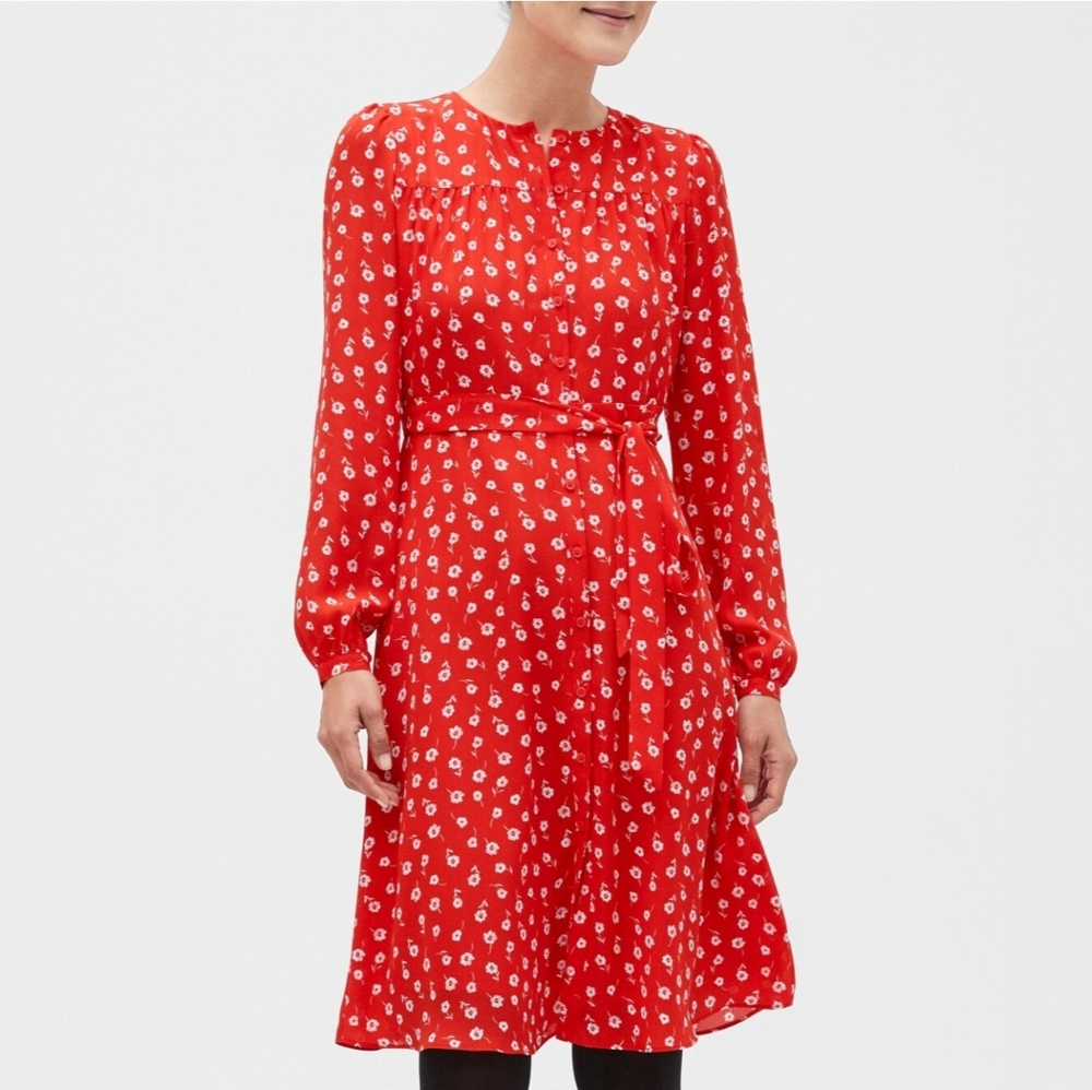 Banana Republic Factory Poet-Sleeve Shirt Dress